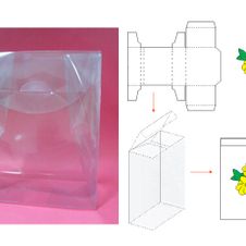 Ferpack cajas transparentes